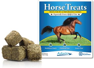 Adasio Horse Treats